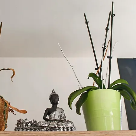 D'hotes Du Val D'asson Frühstückspension 3*