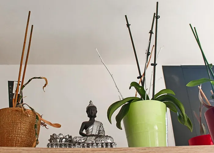 D'hotes Du Val D'asson Bed & Breakfast 3*